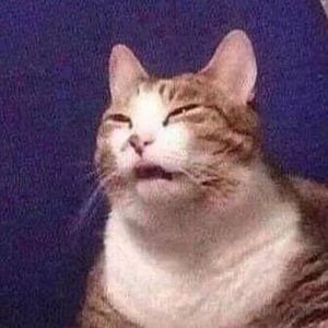 Meet your Posher, Jarlo